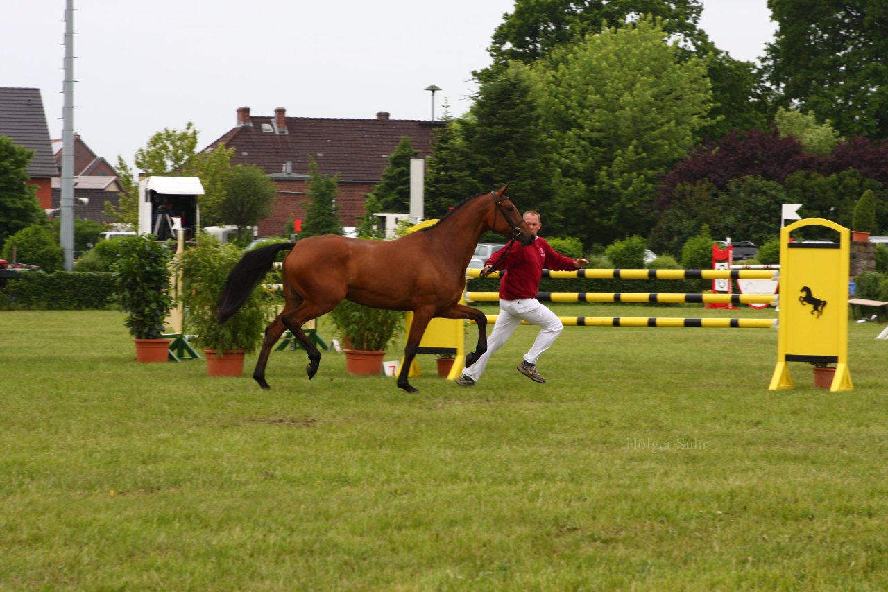 Bild 46 - Elmshorn am 9.6.10